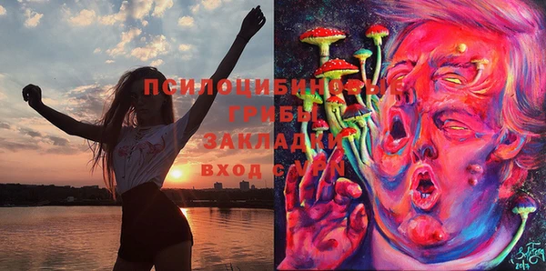 прущий лед Алексин